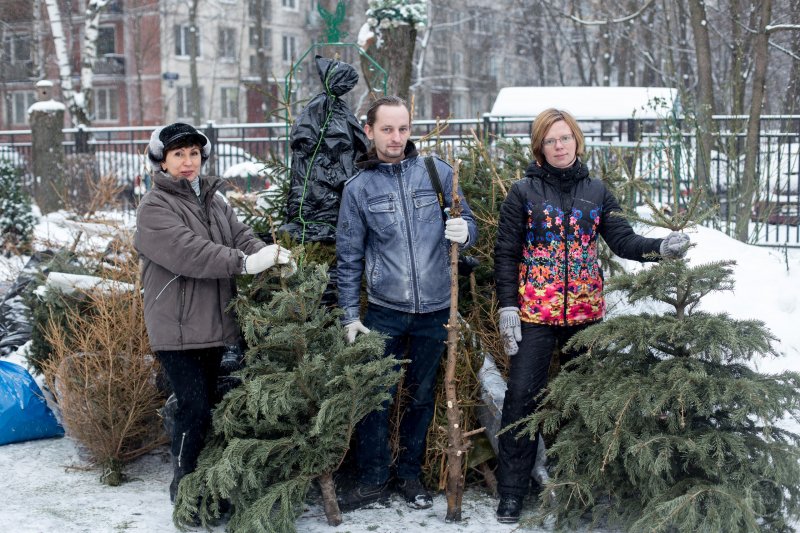 Власти Подмосковья приглашают всех неравнодушных подарить елке вторую жизнь