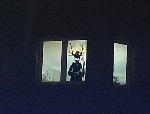 Креативщики: жители города Видное украсили окно страшным оленем