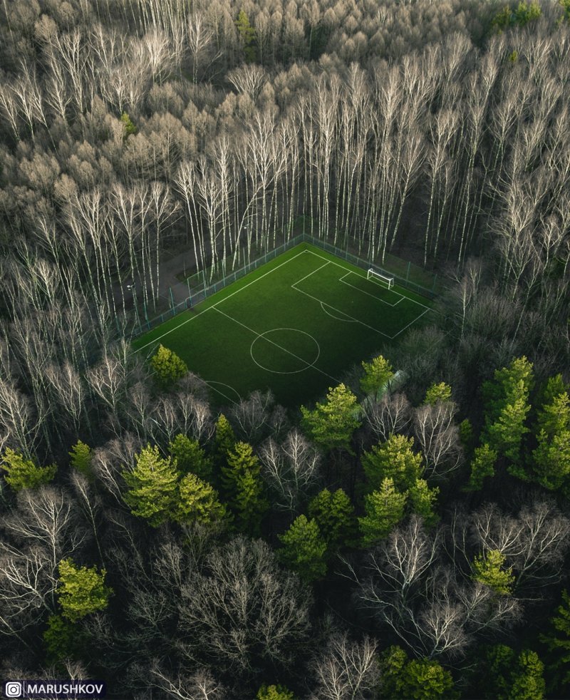 Мексиканский журналист обнаружил лучшее футбольное поле России, и оно находится в Мещерском парке