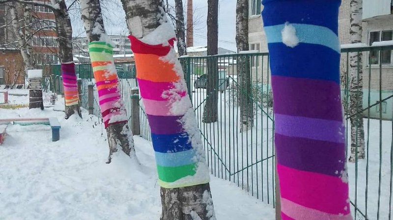 Ярнбомбинг по-талдомски: в подмосковном городе деревья украсили вязаными шарфами