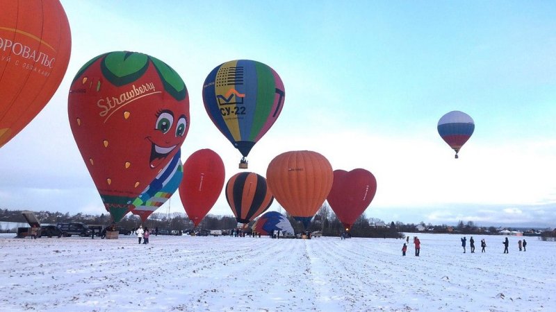 В Дмитрове состоялся ежегодный фестиваль "Яблоки на снегу"