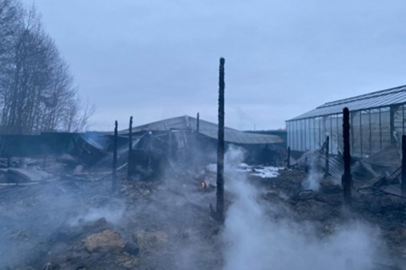 При пожаре в Раменском погибли восемь человек