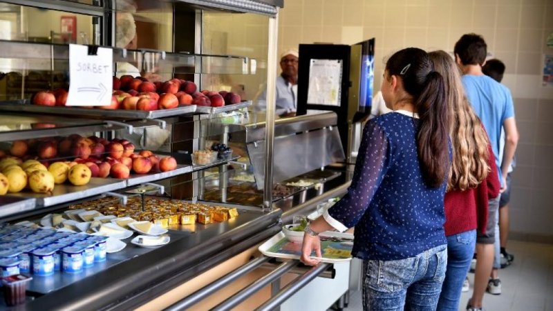Родители подмосковных учеников смогут попробовать еду в школьных столовых