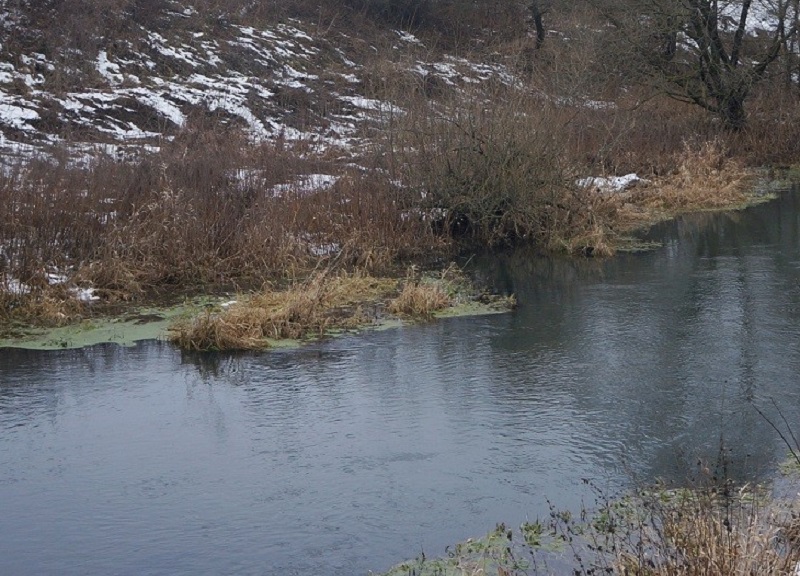 Неизвестное предприятие загрязняет реку в Домодедово сточными водами
