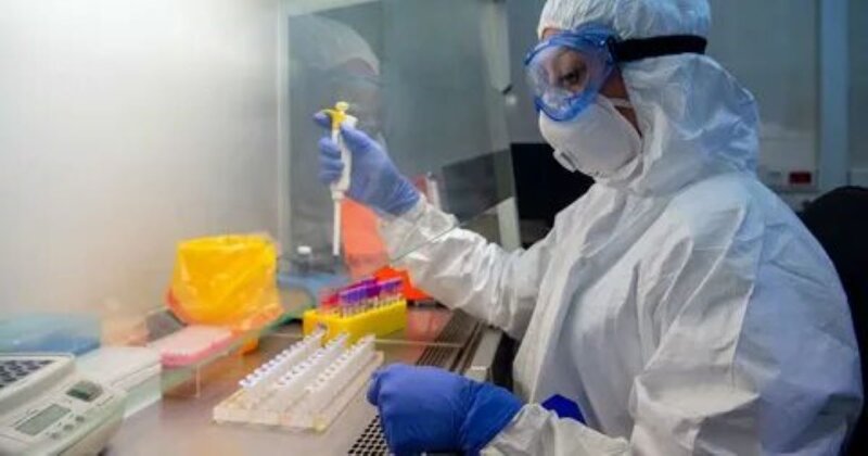 В Подмосковье начали работу две лаборатории для исследований на коронавирус