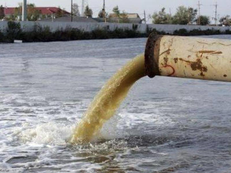 В Одинцово остановили загрязнение реки Чаченки