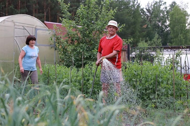 Жителям Московской области от 65 лет помогут оформить пропуска на дачу 