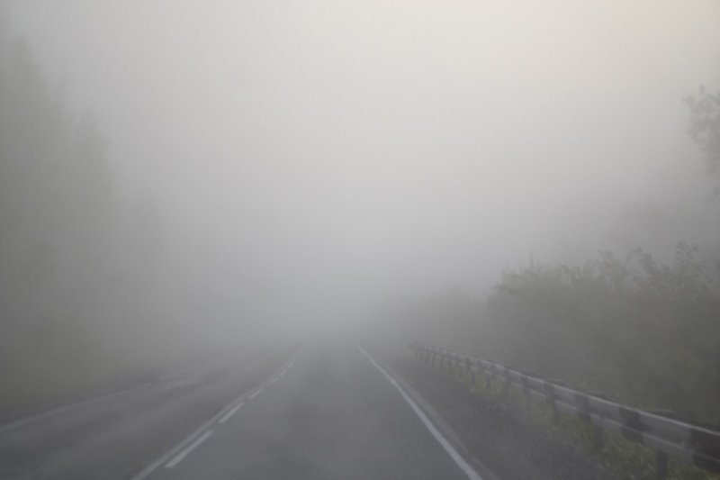 В Московской области объявили «жёлтый» уровень опасности из-за тумана