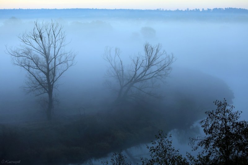 В Московской области объявили «жёлтый» уровень опасности из-за тумана