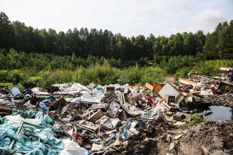 Рейды «Чистая контейнерная площадка для отходов» начали проводить в Московской области