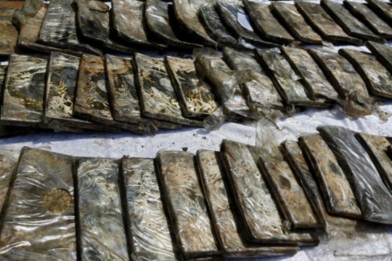 В Подмосковье осудят, банду драгдилеров, у которых нашли 16 кг наркотиков