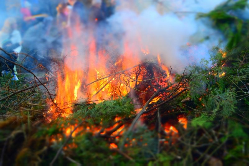 Сто шестьдесят четыре лесных пожара произошло в Подмосковье в 2020 году