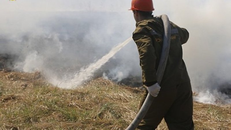 Сто шестьдесят четыре лесных пожара произошло в Подмосковье в 2020 году