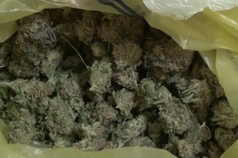 Килограмм марихуаны нашли у трёх дилеров в Мытищах