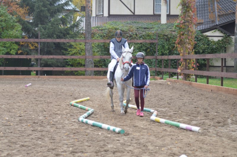 Фестиваль конного спорта для людей с инвалидностью пройдёт в Котельниках