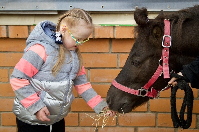 В Подмосковье прошёл Открытый Фестиваль по конному спорту «Золотая Осень»
