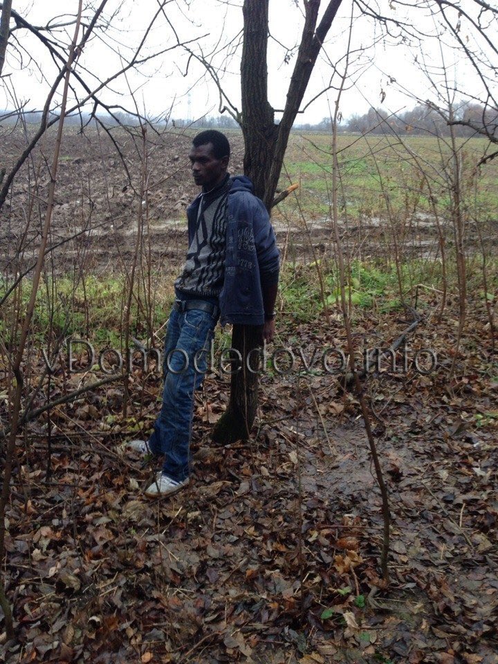 Грибник нашел в Домодедовском лесу африканца, привязанного к дереву