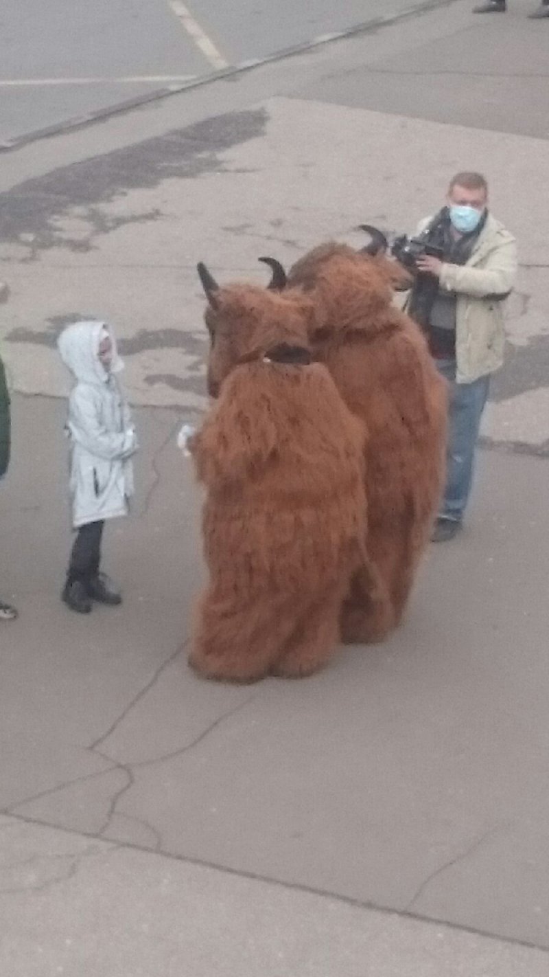 В Серпухове люди в костюмах зубров раздают маски на вокзале