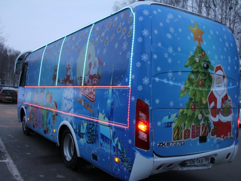 Жителям Подмосковья напомнили о правилах перевозки новогодних елей в общественном транспорте