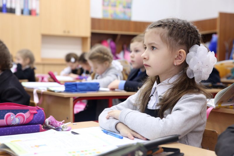 В Подмосковье рассказали о работе школ и детских садов в новом году