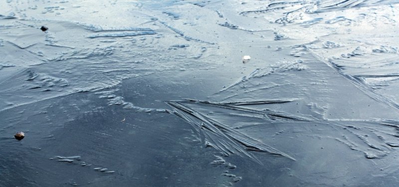 Четырнадцать водоёмов с критически тонким льдом выявили в Подмосковье