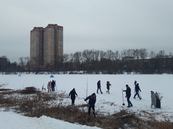 Реку Серебрянку в Пушкино начали чистить от сухостоя
