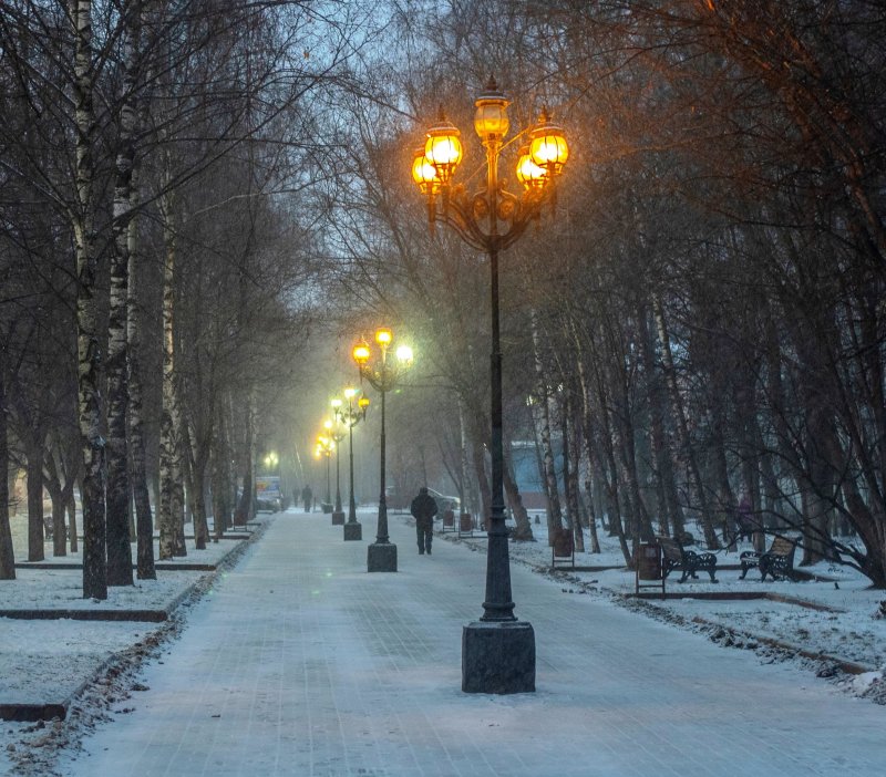 Обслуживание уличного освещения территории Пушкинского городского округа осуществляет МАУ «Пушкинская электросеть». 