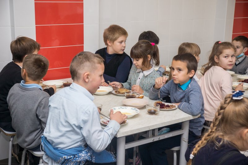 Более 13 тысяч детей получают бесплатное горячее питание в школах Пушкинского округа