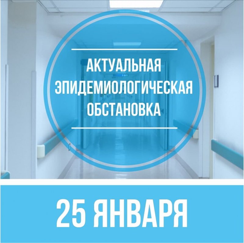 Всего с начала пандемии в Пушкинском городском округе было выявлено 4 062 пациента с COVID-19
