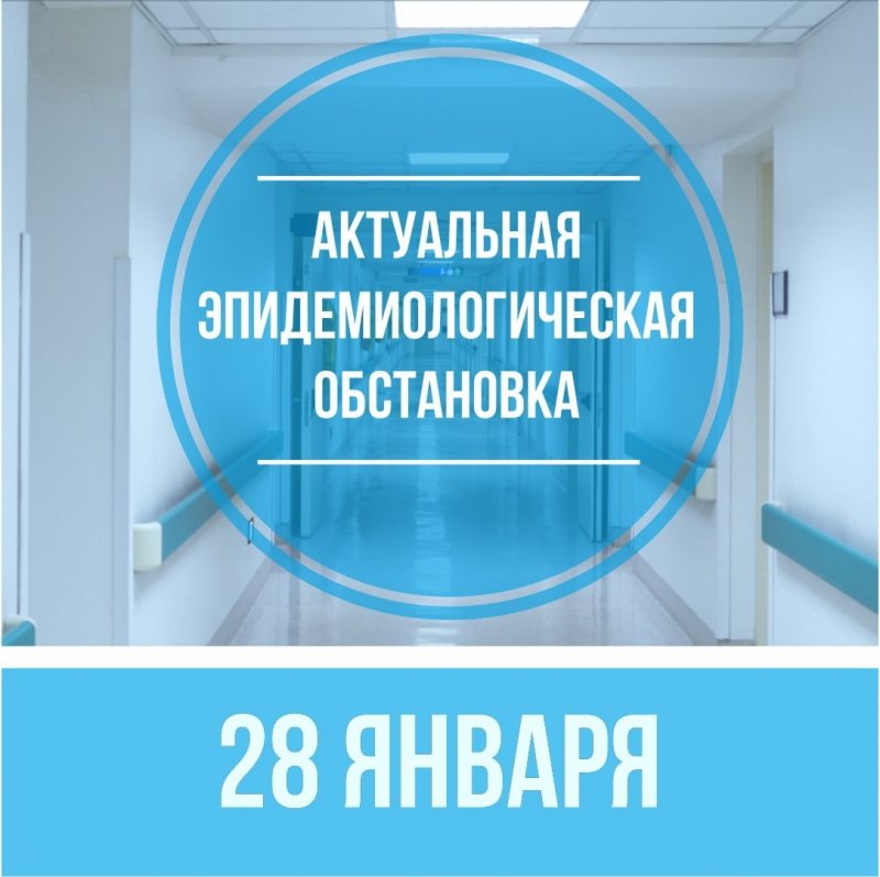 Одиннадцать новых случаев заражения COVID-19 выявили в Пушкинском округе 