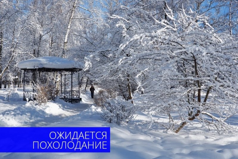 На территории Московской области ожидается аномально холодная погода