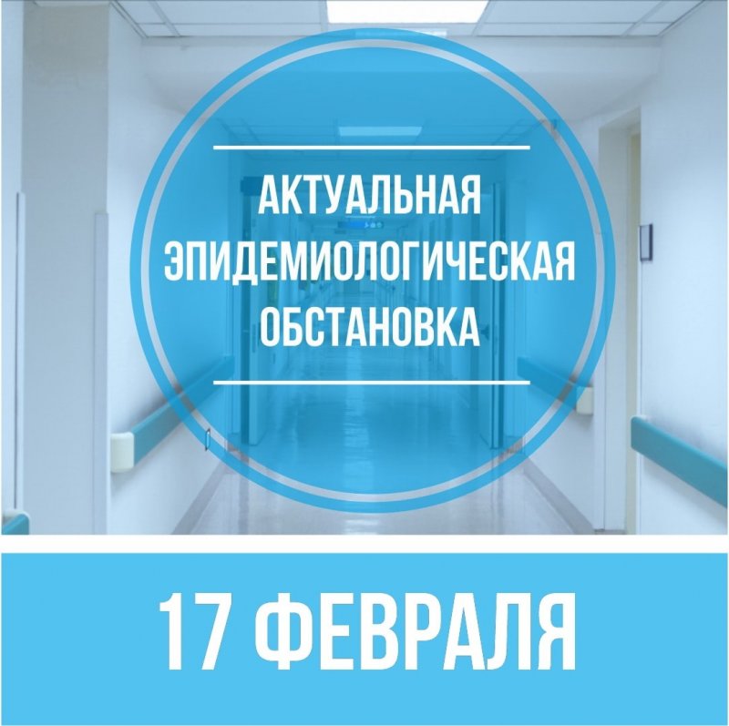 Три новых случая заболевания COVID-19 выявили в Пушкинском округе за прошедшие сутки