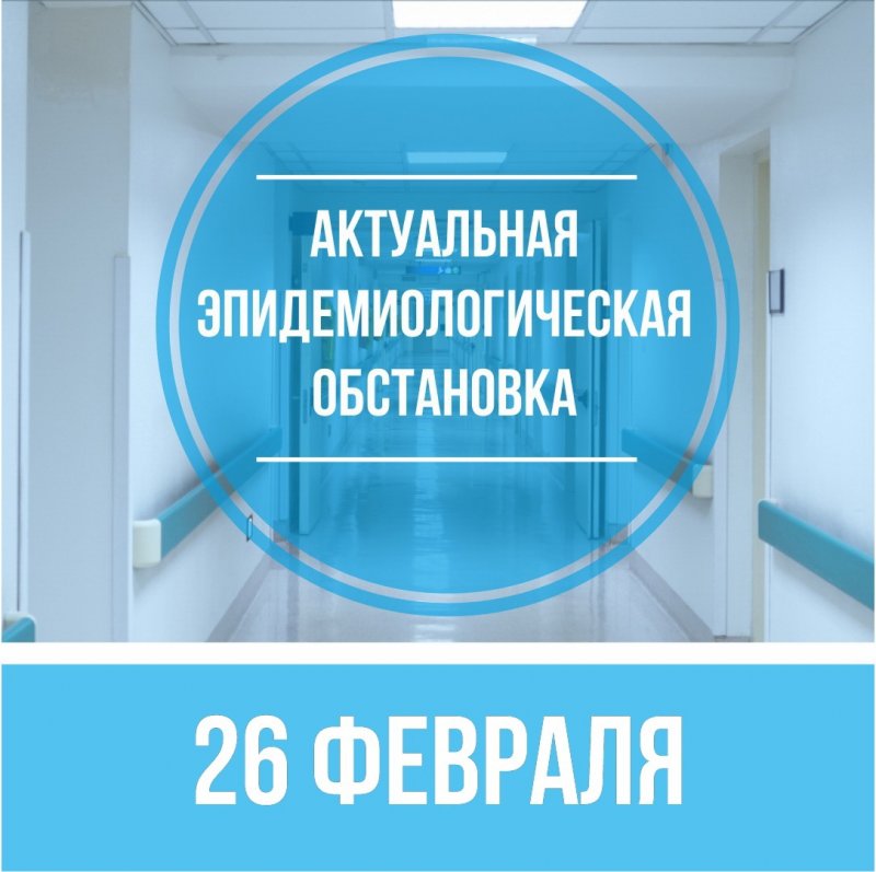 Двенадцать новых случаев заболевания коронавирусной инфекцией выявили в Пушкинском округе за прошедшие сутки