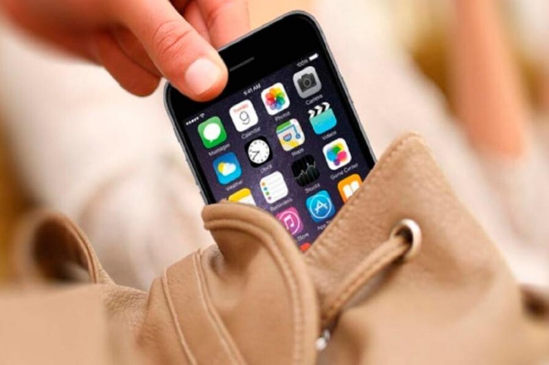 Дочь бизнес-омбудсмена Самарской области  задержали за кражу iPhone в Подмосковье