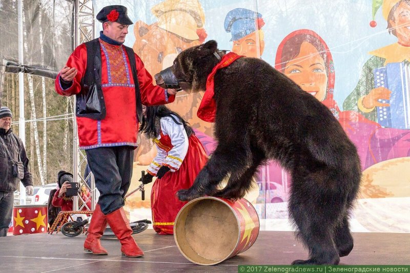 Дрессированный медведь, мастер-классы и много блинов. В Пушкино обновили программу празднования Масленицы