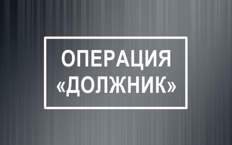 Операцию «Должник» проведут полицейские в Пушкинском округе с 18 по 26 марта