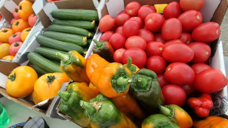 Двадцать пять тысяч тонн овощей собрали в теплицах Подмосковья меньше, чем за три месяца