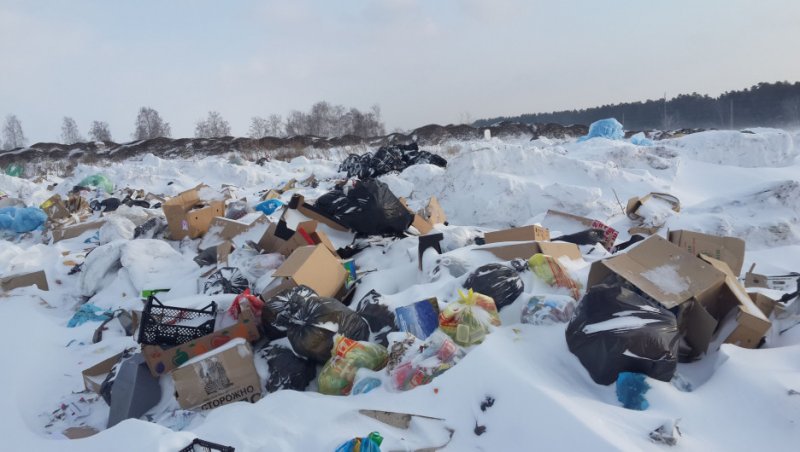 В Пушкинском округе продолжается борьба с несанкционированным сбросом мусора