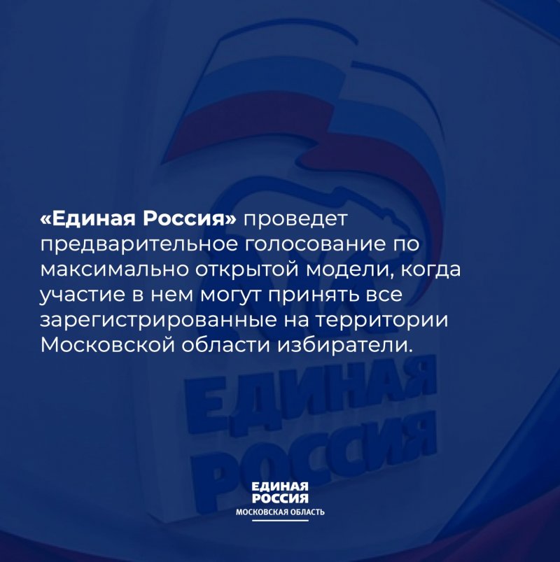 "Единая Россия" проведет предварительное голосование в электронной форме