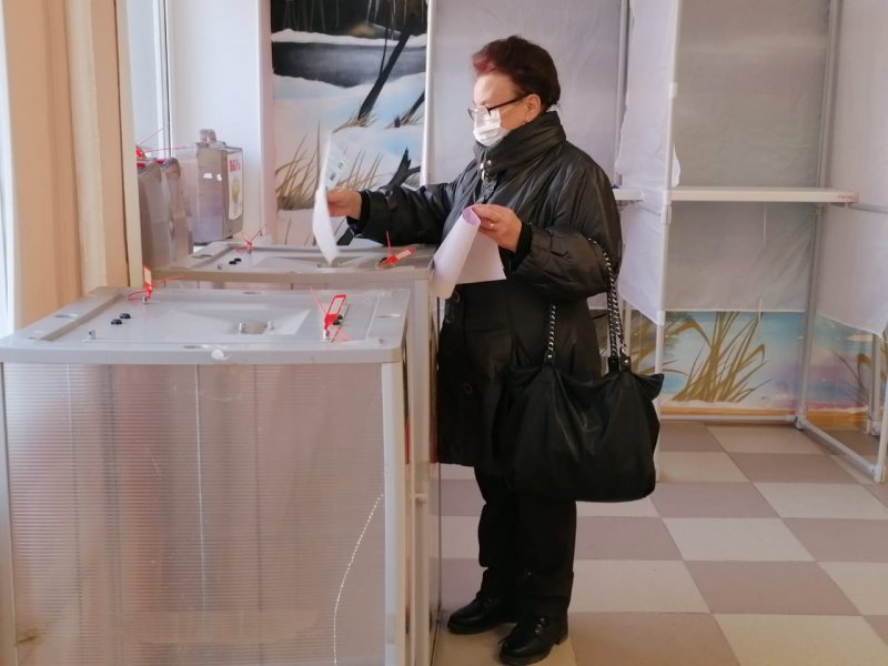 В городском округе Пушкинский проходят выборы в Совет депутатов
