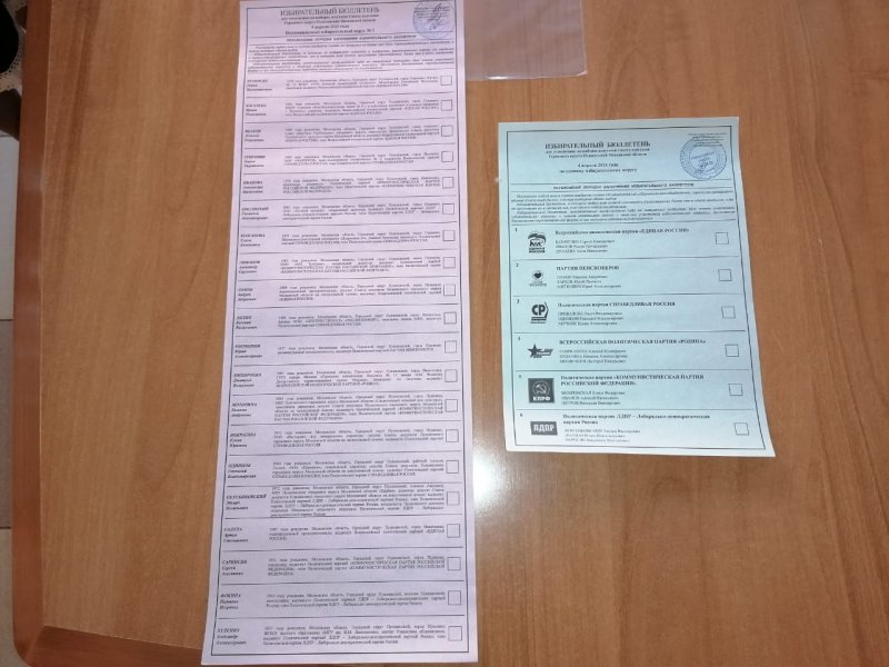 В городском округе Пушкинский проходят выборы в Совет депутатов