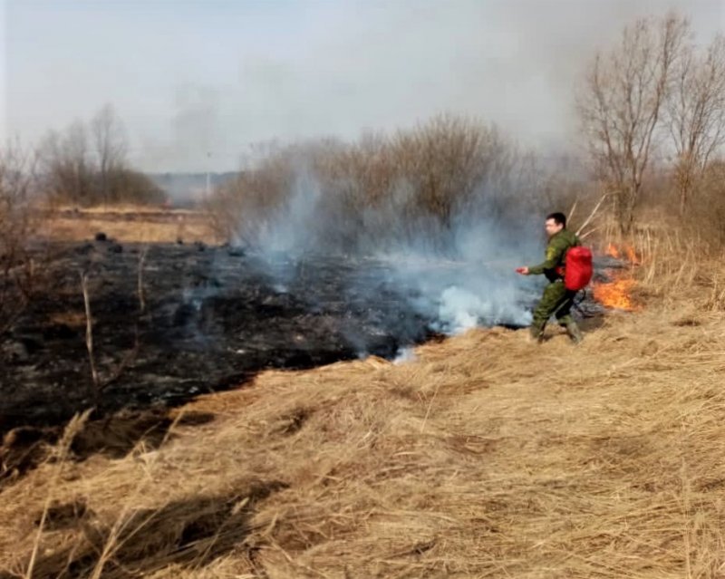 Пожарные в Талдоме пять часов тушили огонь, чтобы спасти деревню и лес