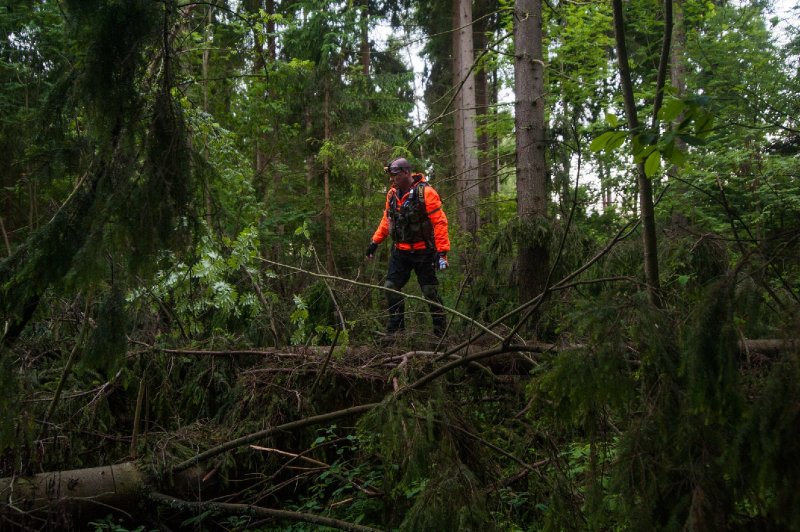 "ЛизаАлерт" понадобится дополнительная помощь добровольцев с началом лесного сезона 