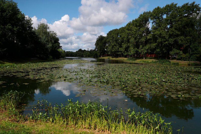Более 20 озер и прудов расчистят в Подмосковье в этом году