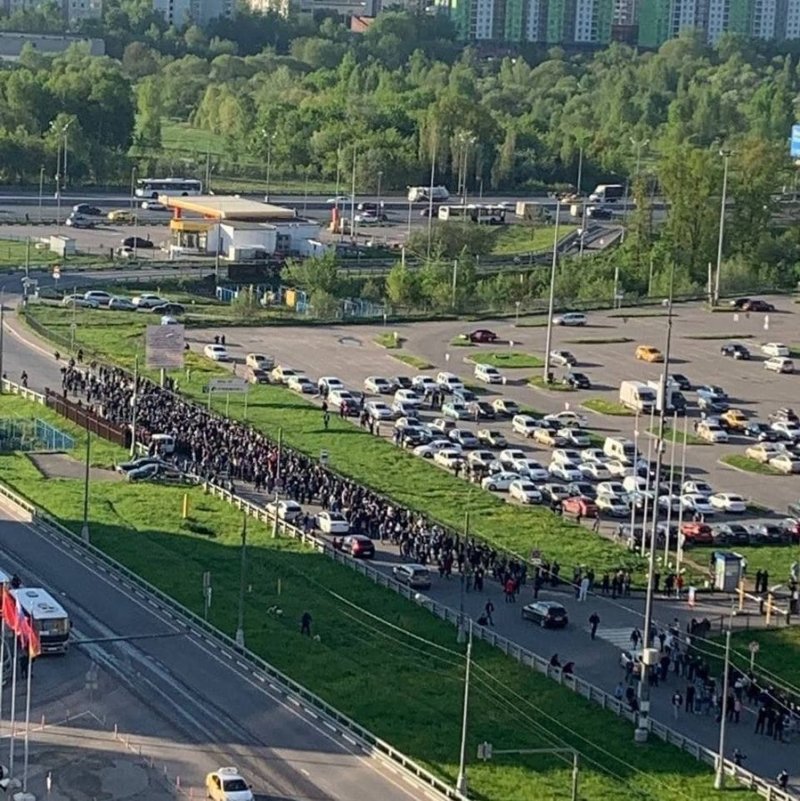 В Подмосковье мигранты перекрыли Путилковское шоссе