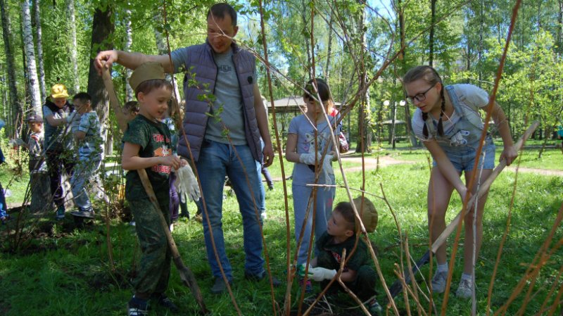 Более 13000 деревьев высадят в городском округе Пушкинский во ходе акции «Лес Победы»