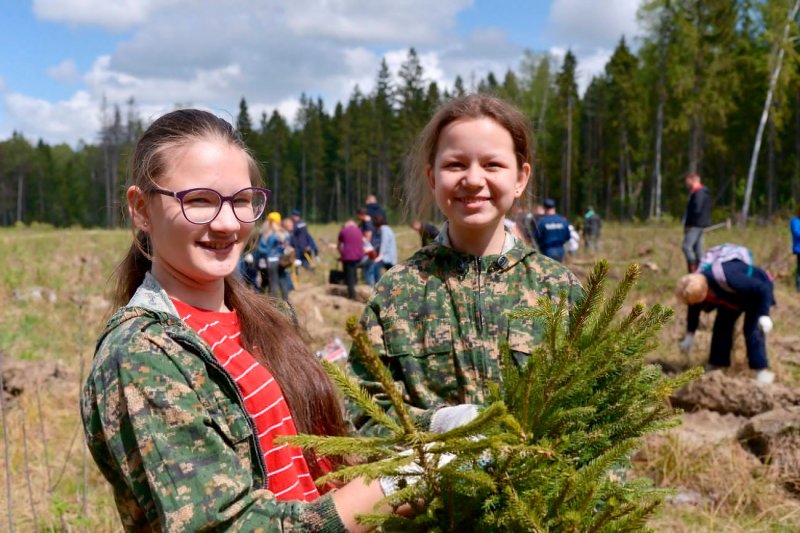 Более 13000 деревьев высадят в городском округе Пушкинский во ходе акции «Лес Победы»