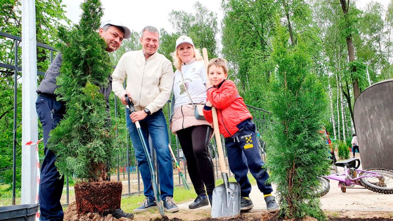 Акция «Сад памяти» проходит в Пушкино, Ивантеевке и Красноармейске