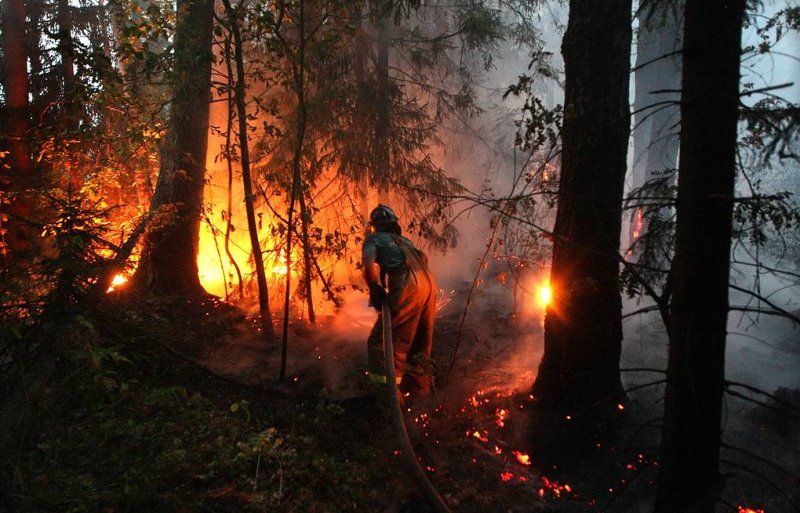 Подмосковье – первый регион в России с четырехуровневой системой мониторинга лесных пожаров