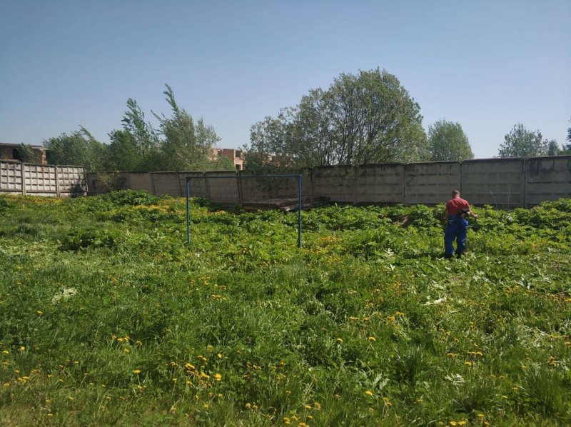 В Московской области начались обработки земель от борщевика